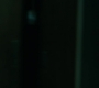 2x08_0595.jpg