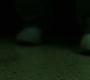 2x08_0641.jpg