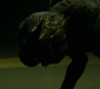 2x08_0651.jpg