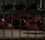 3x02_1450.jpg
