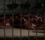 3x02_1451.jpg