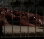 3x02_1452.jpg