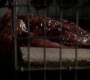 3x02_1453.jpg