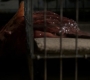 3x02_1454.jpg