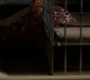 3x02_1455.jpg