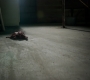 3x02_1465.jpg
