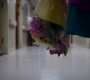 3x04_1919.jpg
