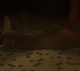 3x04_2141.jpg