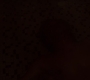 3x04_2173.jpg