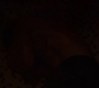 3x04_2179.jpg