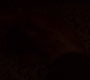 3x04_2180.jpg