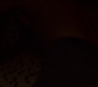 3x04_2181.jpg