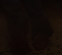 3x04_2184.jpg