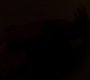 3x04_2189.jpg