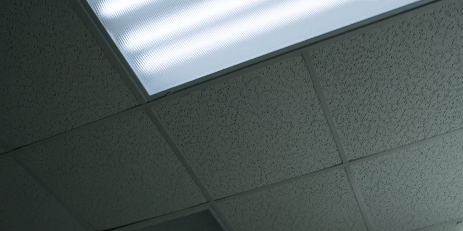 3x05_2260.jpg