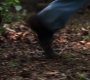 3x05_0625.jpg