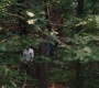 3x05_0637.jpg