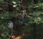 3x05_0638.jpg