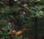 3x05_0639.jpg