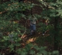 3x05_0640.jpg