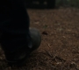 3x05_1028.jpg