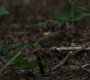 3x05_1058.jpg