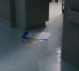 Filename=3x05_1967.jpg
Filesize=139KiB
Dimensions=1920x960
Date added=Sep 29, 2021 3x05_1967.jpg