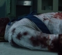 Filename=3x05_2281.jpg
Filesize=148KiB
Dimensions=1920x960
Date added=Sep 29, 2021 3x05_2281.jpg