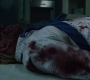 Filename=3x05_2282.jpg
Filesize=136KiB
Dimensions=1920x960
Date added=Sep 29, 2021 3x05_2282.jpg