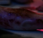 3x08_0033.jpg
