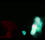 Summertime_01x08_1554.jpg
