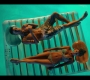 Summertime_204_0673.jpg