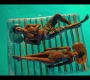 Summertime_204_0674.jpg