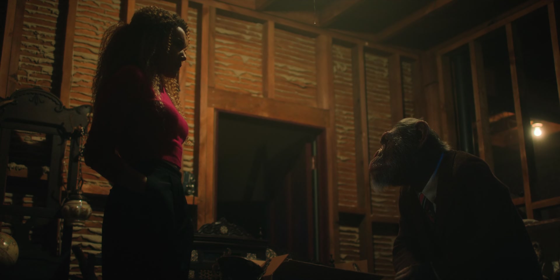 1x02_1296.jpg