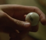 1x02_0202.jpg