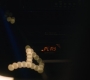 1x02_1369.jpg