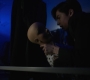 1x02_1442.jpg