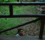 1x08_0119.jpg