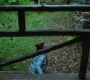 1x08_0120.jpg