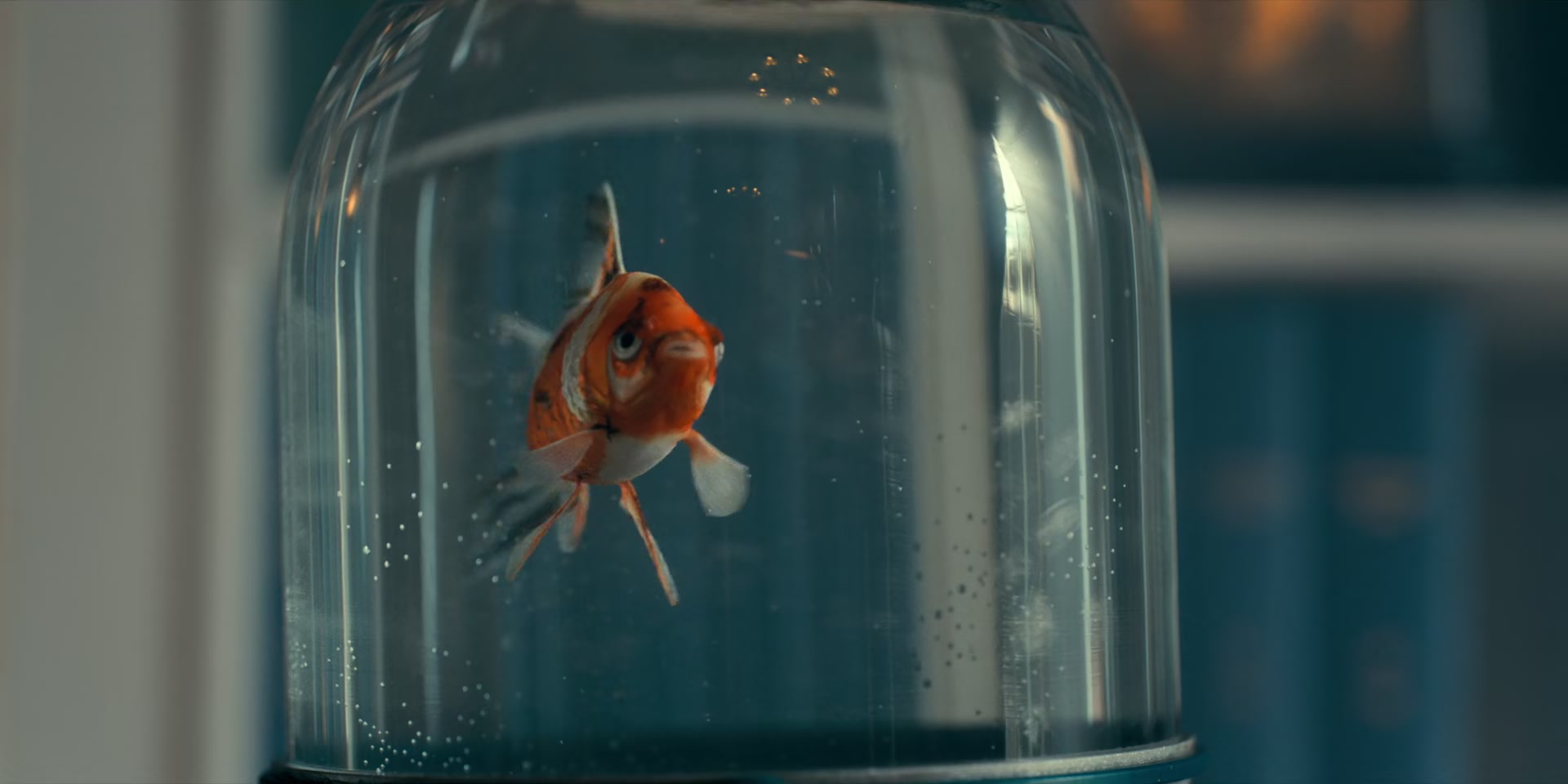 2x02_0077.jpg