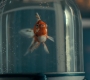 2x02_0078.jpg