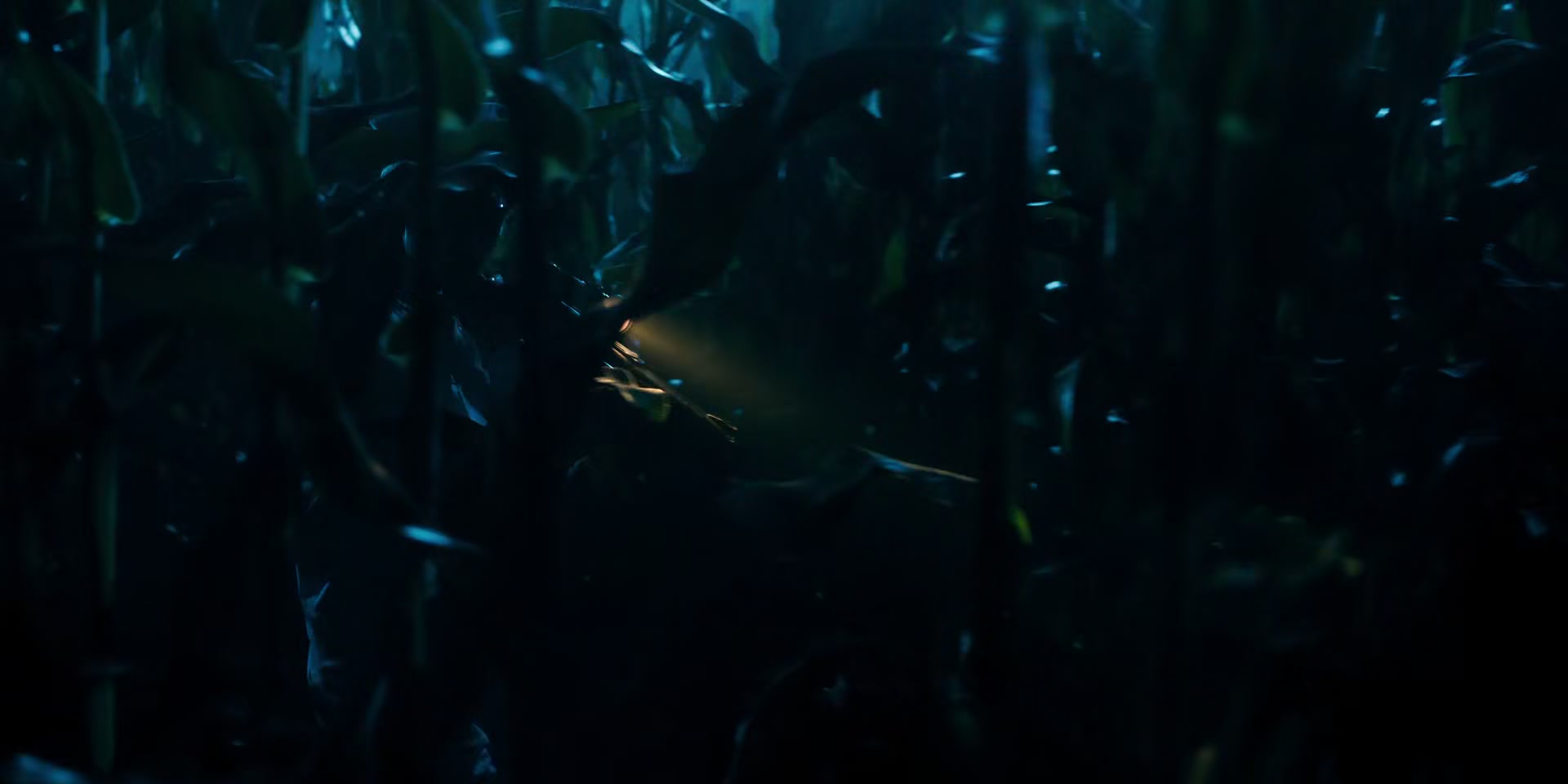 2x03_0186.jpg