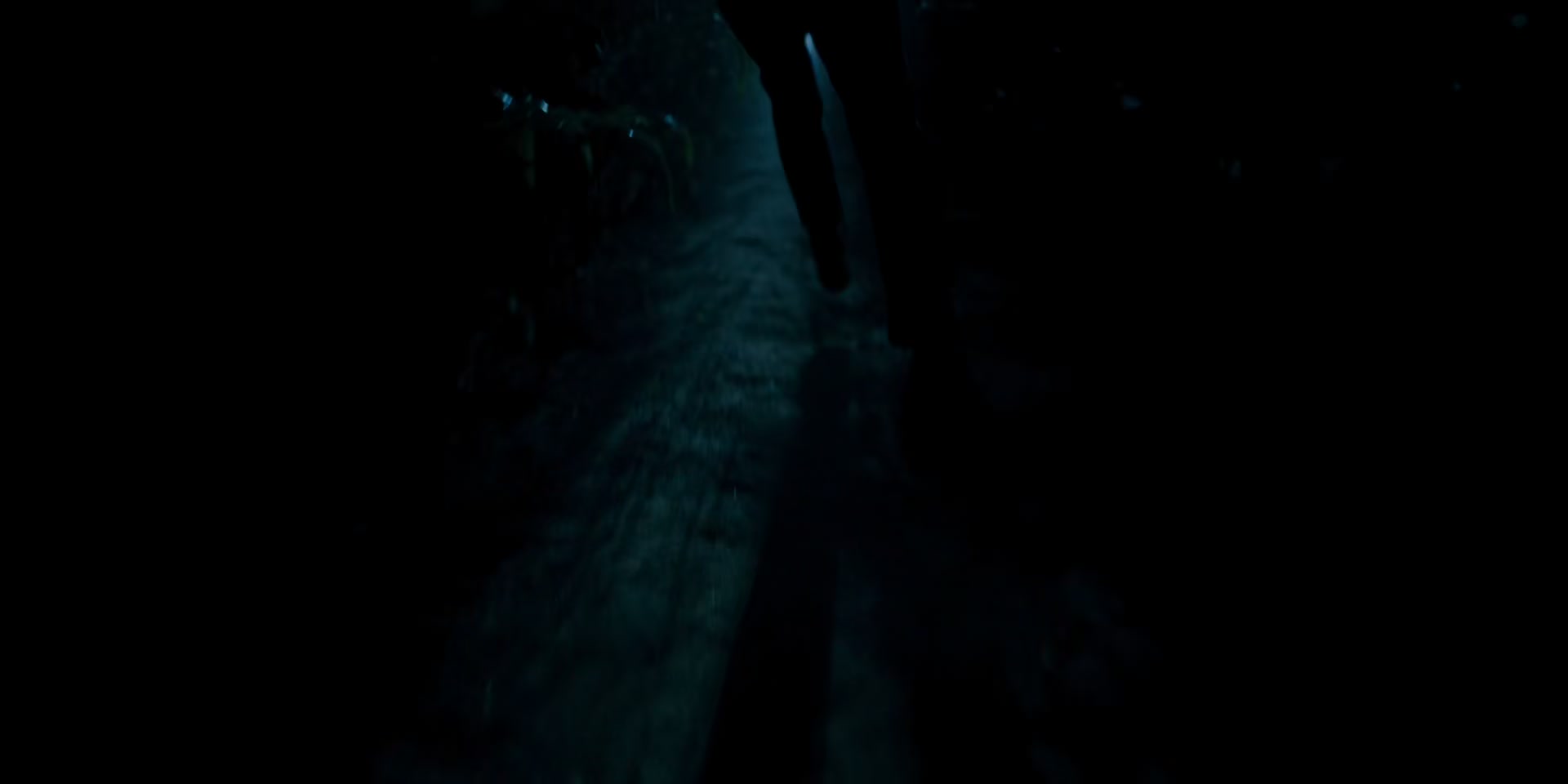 2x03_0187.jpg
