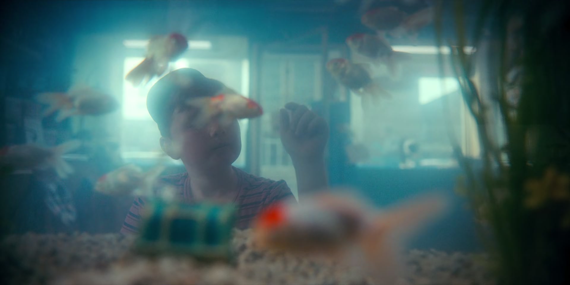2x03_0433.jpg