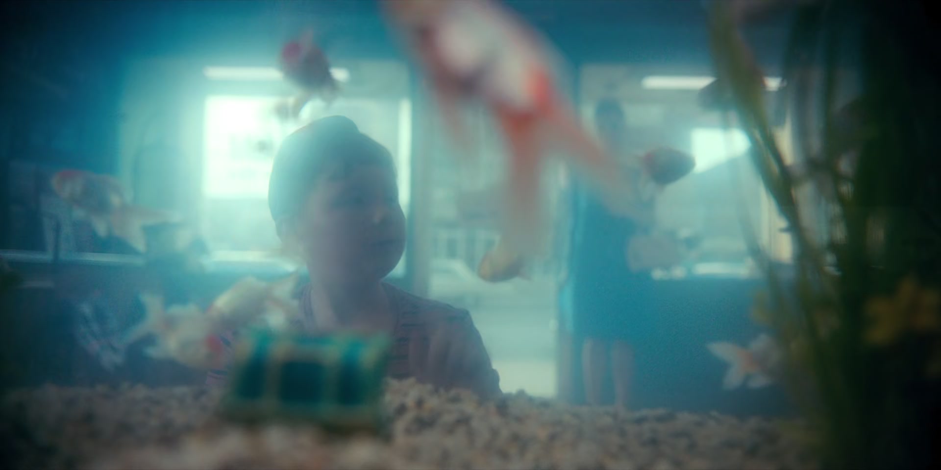 2x03_0436.jpg