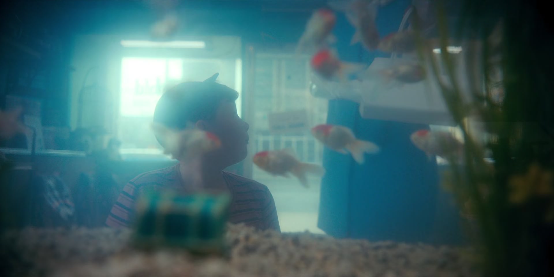2x03_0440.jpg