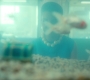 2x03_0472.jpg