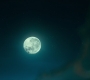 2x03_1243.jpg