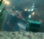 Filename=2x03_1283.jpg
Filesize=92KiB
Dimensions=1920x960
Date added=Sep 28, 2021 2x03_1283.jpg