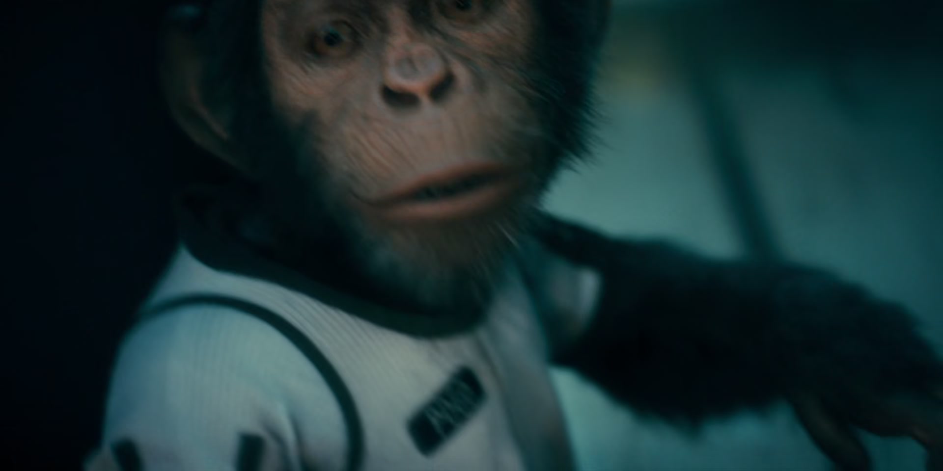 2x05_0036.jpg